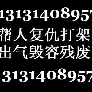 雇杀手打手打架报复毁容残废13131408957